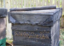 Brand Pennickental Jena 00043